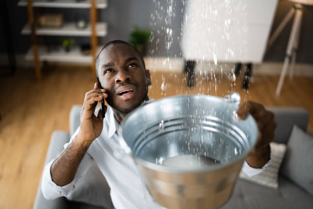 Best Residential water damage restoration  in Audubon, NJ