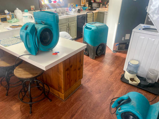 Best Flooded house restoration  in Audubon, NJ