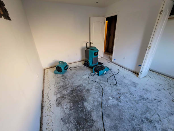 Best Emergency water damage restoration  in Audubon, NJ