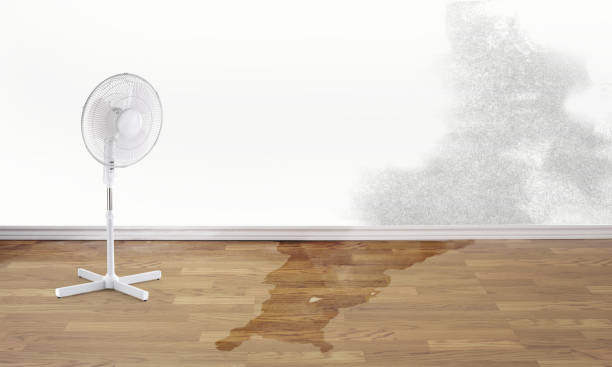  Audubon, NJ Water damage restoration Pros
