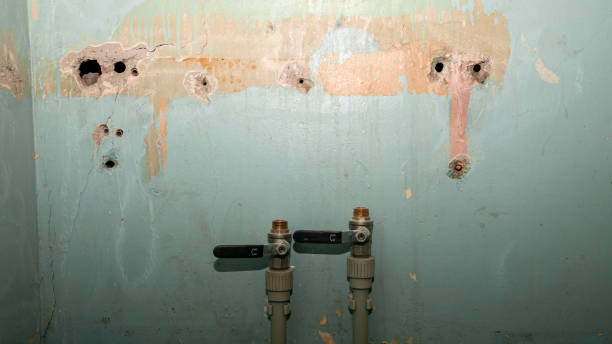 Best Local water damage restoration  in Audubon, NJ