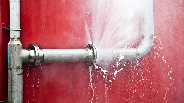 Best Water damage restoration process  in Audubon, NJ